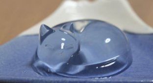 Водянистый торт-капля в форме кота удивил пользователей сети (2 фото)