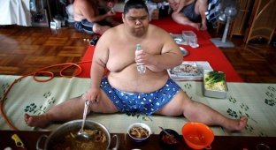 Как питаются борцы сумо (2 фото)