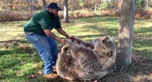Отпадный момент: сирота-медведь обнимает своего бывшего опекуна (4 фото + 1 видео)