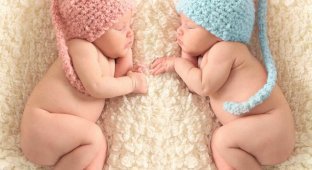 В Австралии родились редчайшие полуидентичные близнецы (4 фото)