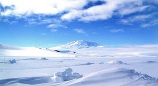 Удивительная Антарктида (16 фото)