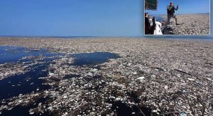 Море мусора захлестнуло Карибы (10 фото + 1 видео)