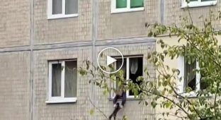 Мальчик мучал кота высунув его с окна в Киеве