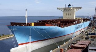 Самый большой контейнеровоз в мире (16 фото)