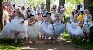 Акция "Сбежавшие невесты" в Нарве (77 фото)