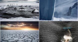 Удивительные морозные фотографии Джона Веллера (34 фото)