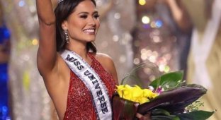 Андреа Меса - 26-летняя мексиканка, одержавшая победу на конкурсе "Мисс Вселенная-2021" (15 фото + видео)