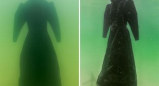 Погруженное в Мертвое море платье превратилось в оригинальную скульптуру (6 фото)