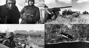 Вторая мировая война: Восточный фронт (Часть 14) (45 фото)