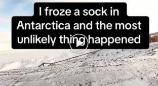 Как развлекаются в Антарктике
