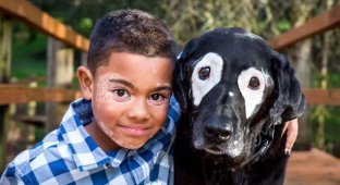 Мальчик с редким заболеванием кожи ненавидел свой внешний вид, пока не встретил такую же собаку (7 фото)