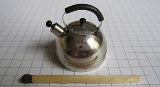 Гигантская спичка или маленький чайник (30 фотографии)
