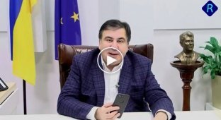Саакашвили. Заставлю олигархов вернуть награбленное, уменьшу тарифы и отменю 90 процентов экспортных пошлин
