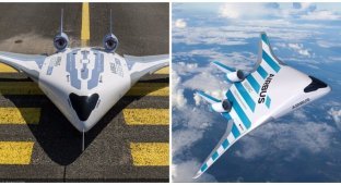 Концерн Airbus представил модель пассажирского самолета будущего (4 фото + 1 видео)