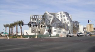 Нетривиальный центр здравоохранения мозга в Лас–Вегасе (23 фото)