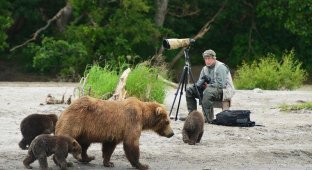 На медведя с фотоаппаратом! (24 фото)