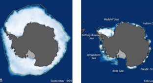 10 удивительных фактов об Антарктиде (10 фото)