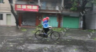 Тайфун в Китае (23 фотографии)