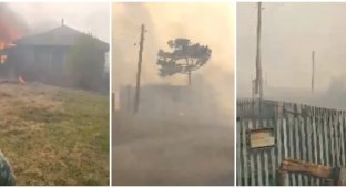 В Омской области пожар уничтожил целую деревню (мат) (5 фото + 1 видео)