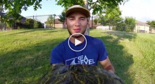 Парень прикрепил GoPro к черепахе и получил невероятные кадры