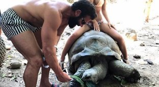 "Король "Инстаграма" ради лайков посадил девушку в бикини на 100-летнюю черепаху (7 фото)