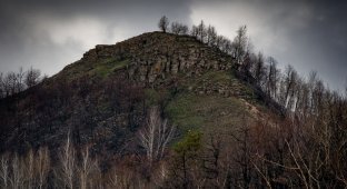 Жигулевские горы: гора “Шишка” (37 фото)
