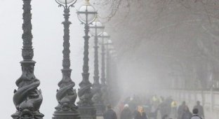 Лондонские туманы (14 фото)