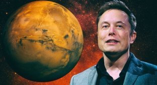 "Вероятно, умрет куча людей": Маск заявил о том, что колонизация Марса не обойдется без жертв (3 фото + 1 видео)
