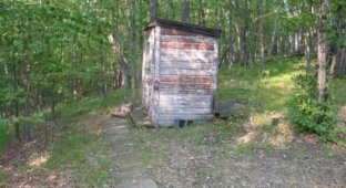 Туалет в лесу (5 фотографий)