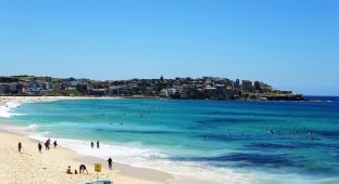 Пляж Бондай-бич в Сиднее, Австралия (8 фото)