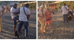 На одном из пляжей Сочи произошла массовая драка из-за выгула собаки (3 фото + 2 видео)