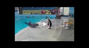 Ребенок играет с дельфином