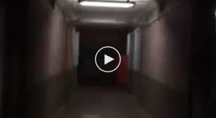 Охранники бразильского морга услышали странный шум в коридоре и решили узнать его происхождение