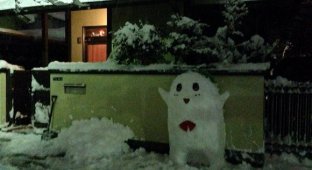 Снег в Японии (23 фото)