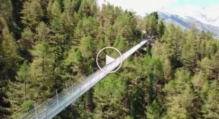 Самый длинный подвесной пешеходный мост построили в Швейцарии