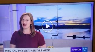 Телеведущая рассказала прогноз погоды на фоне горячего порно