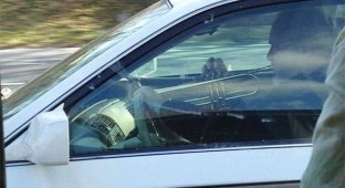 Странные и забавные ситуации, заснятые из окна автомобиля (24 фото)