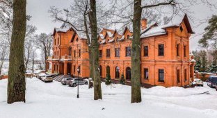 Дирижер Юрий Башмет продает свой дом на Рублевке (4 фото)