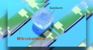 Создана самая маленькая в мире батарейка размером с крупицу соли (2 фото)