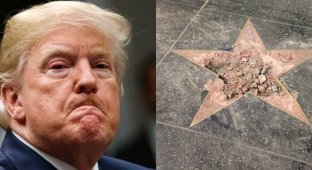 На Аллее славы в Голливуде разбили звезду Трампа (3 фото)