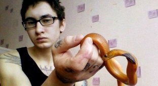 21-летний заводчик ядовитых змей из Тольятти умер от укуса королевской кобры (5 фото)