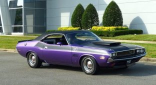 Фиолетовый красавец: тщательно отреставрированный Dodge Challenger T/A 1970 (12 фото)