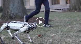 Робот MIT Mini Cheetah научился делать сальто