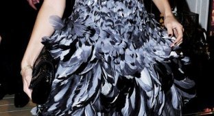 Kelly Brook в платье из перьев (10 фотографий)