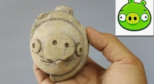 Китайские археологи откопали свинку из Angry Birds (6 фото)