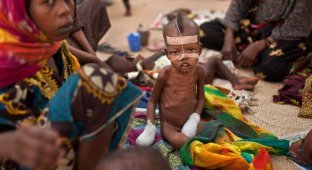 Продовольственный кризис в природной зоне Сахель в Африке (32 фото)