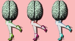 Мозг как самый элегантный сексуальный орган человека (7 фото)