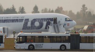Аварийная посадка самолета в Польше (7 фото + видео)