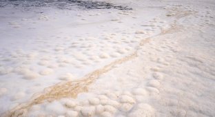 На Камчатке в Тихом океане обнаружили 40-километровое пятно (3 фото)