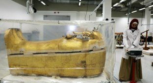 Впервые за 100 лет началась реставрация саркофага Тутанхамона (8 фото)